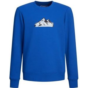 JACK & JONES Mountain trui met logo voor jongens, Blauw, 128 cm