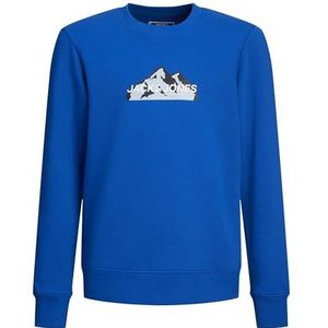 Jack & Jones Mountain Logo Sweater Jongens