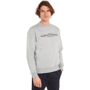 Tommy Hilfiger Heren HILFIGER STREPE SWEATSHIRT MW0MW35530, Pullover Hoodie, Grijs, S, Grijs (lichtgrijs Heather), S