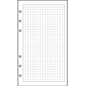 EXACOMPTA 28111E navulling Exatime 21, geruit blok (5 x 5)