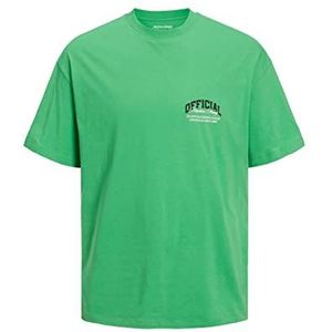 JACK & JONES Jorbrink Studio Back Tee Ss Crew Neck T-shirt voor heren, groen (island green), XL