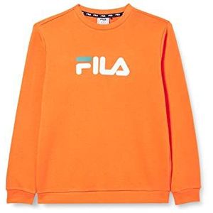 FILA Unisex Kids SORDAL Classic Logo Crew Sweatshirt, Celosia Orange, 170/176, Celosia Oranje