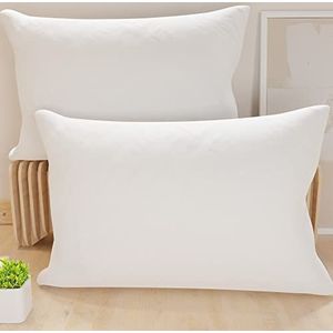 PETTI Artigiani Italiani - Set van 2 kussenslopen 60 x 40 cm, effen witte kussenslopen, kussensloop van 100% microvezel, hypoallergeen, gemaakt in Italië