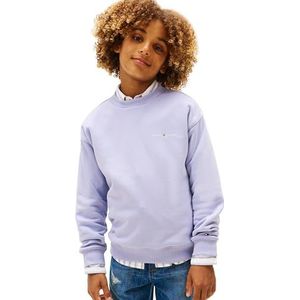 TOMMY HILFIGER Sweatshirt  lichtblauw
