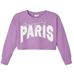 NAME IT Sweatshirt voor meisjes, Violet Tulle, 116 cm