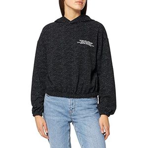 LTB Jeans Dames Nofeda Trui, Grey Gold Lurex 12523, XS