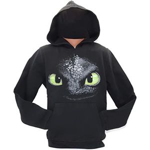 joojee GmbH Jongens Dragons hoodie baby en peuter kostuums, zwart, maat 116-122