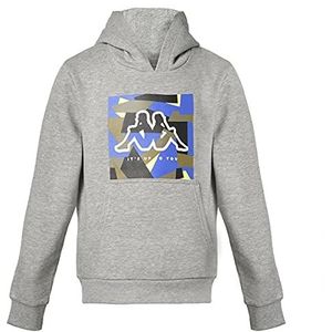 Kappa BTS Clot sweatshirt, grijs, 6Y voor kinderen