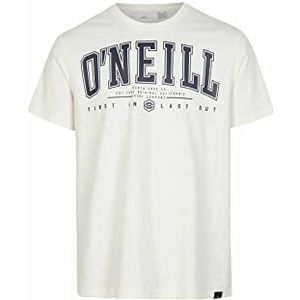 O'NEILL State Muir T-shirt 11010 Snow White, Regular voor heren, 11010 sneeuwwit, M-L