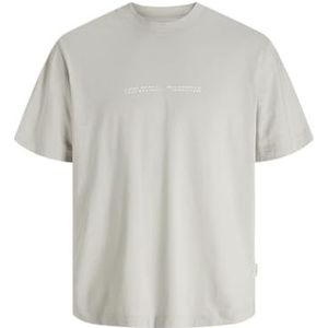 JACK & JONES Jcostance Graphic Tee Ss Crew Neck, vapor blue, XS