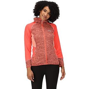 Regatta Walbury Iii hoodie voor dames, Fusion Koraal/Neon Roze, 40