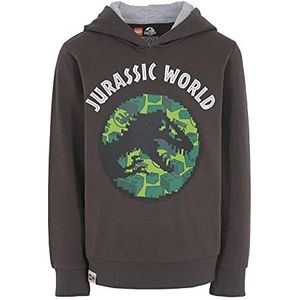 LEGO Jurassic World Hoodie voor jongens