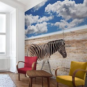 Apalis Vliesbehang Zebra in de Savanne fotobehang vierkant | vliesbehang wandbehang wandschilderij foto 3D fotobehang voor slaapkamer woonkamer keuken | Maat: 240x240 cm, blauw, 98165