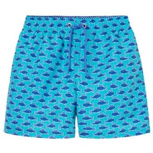 Hackett London Minifish Shorts voor jongens, blauw (licht turquoise blauw), 13 jaar, Blauw (Licht Turkoois Blauw), 13 Jaren