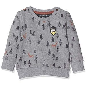 Noppies Baby-jongens B Sweat Ls Allentown sweatshirt, grijs (charcoal melange P206), 50 cm