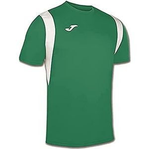 Joma heren dynamo groen