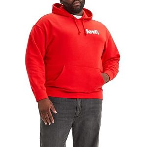 Big & Tall Relaxed Graphic Po Sweatshirt Hoodie Mannen