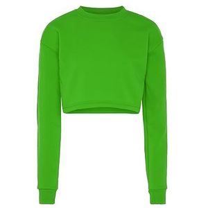 Libbi Trui met lange mouwen voor dames van 100% polyester met ronde hals SAFTIGE GROEN maat XXL, Sappig groen, XXL