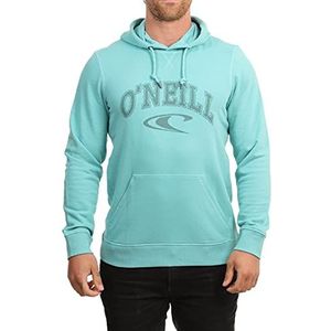 O'Neill Heren State Hoodie Sweatshirt met capuchon