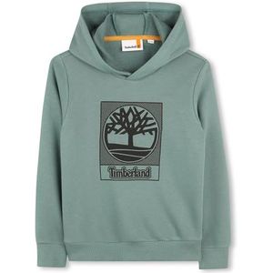 Timberland T60383 Trui voor jongens, Dennenkleur, 10 Jaren