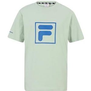 FILA Beesten T-shirt voor jongens, Silt Green., 158/164 cm