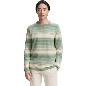 TOM TAILOR - Trui - Crème - Ronde Hals - Lange Mouw - Gestreept