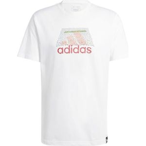 adidas Heren CODES BOS GRAPHIC TEE, white, S Tall