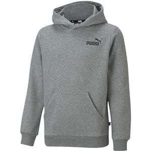 PUMA Jongens Ess Small Logo Hoodie Fl B Sweat
