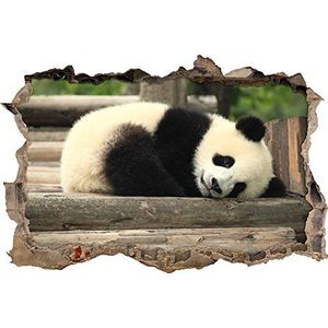 Pixxprint 3D_WD_S1052_62x42 schattige jonge panda liggend op boomstammen wanddoorbraak 3D muurtattoo, vinyl, kleurrijk, 62 x 42 x 0,02 cm