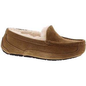 UGG - Ascot - Slipper - Kastanje Suede - Uniseks Kind