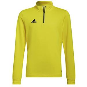 adidas Uniseks-Kind Entrada 22 Training Top, team yellow/black, 15-16 Years