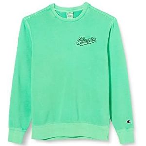 Champion Sweatshirt voor heren, Groen gazon (Adtf), XXL