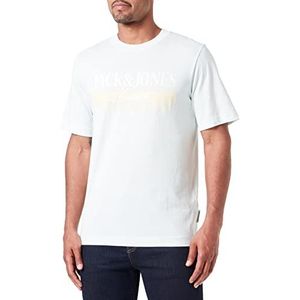 Jack & Jones Jorpalma Branding Tee SS Crew Neck, lichtblauw, M