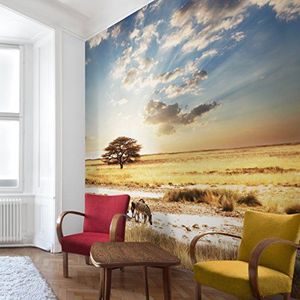 Apalis Vliesbehang The Life of Zebra Fotobehang Vierkant | Fleece Behang Muurbehang Foto 3D Fotobehang voor Slaapkamer Woonkamer Keuken | Grootte: 336x336 cm, blauw, 95290