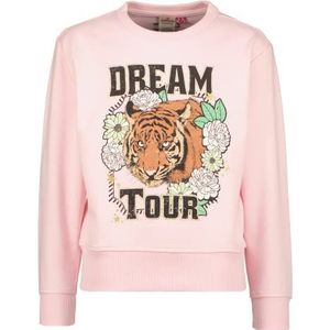Vingino Girls's Ninny Sweater, Fairy Pink, 152, Fairy Pink