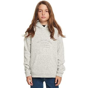 Quiksilver Pullover Jongens Grijs L/14