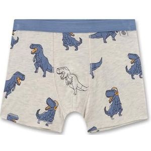Sanetta Kinderjongens onderbroek shorts zachte tailleband biologisch katoen, Nature Melange, 116 cm