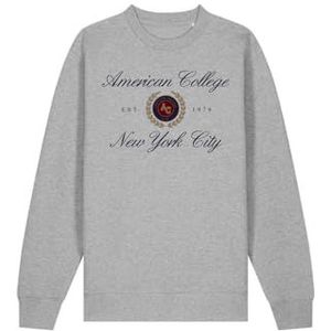 AMERICAN COLLEGE USA JOGGING SET HEREN GRIJS MAAT XXL DECONTRACTE, Grijs, XXL
