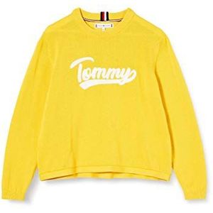 Tommy Hilfiger Dames Varsity Logo Sweater Pullover, Valley Yellow, 10