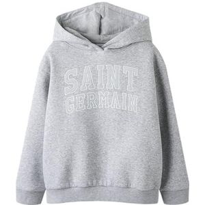 NAME IT Nkfkarlie Ls RLX SWE Wh Bru, lichtgrijs gem., 116