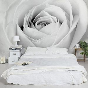Apalis Vliesbehang bloemenbehang Close Up Rose fotobehang breed | vliesbehang wandbehang muurschildering foto 3D fotobehang voor slaapkamer woonkamer keuken | grijs 94564