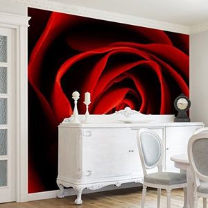 Apalis Vliesbehang bloemenbehang lieflijke roos fotobehang vierkant | vliesbehang wandbehang muurschildering foto 3D fotobehang voor slaapkamer woonkamer keuken | Grootte: 192x192 cm, meerkleurig,