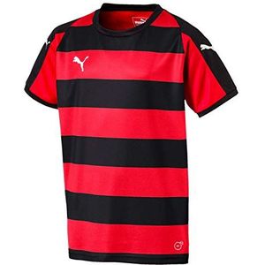 Puma Liga Jersey Hooped Jr T-shirt voor kinderen