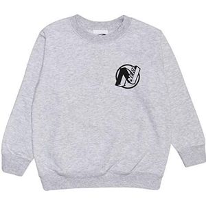 Nerf Win Like A Pro Crewneck sweatshirt, Meisjes, 116-182, Heather Grey, Officiële Koopwaar