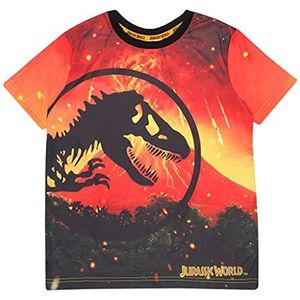 Jurassic World Lava Logo Jungen T-Shirt Orange Alter 3-13 Jahre, Kinderkleidung, Jurassic Park Dinosaurier Kinder Top, Kleinkind bis Teenager Kindergeburtstag Geschenkidee