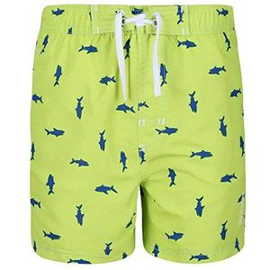 Skander II gerecyclede sneldrogende zwembroek met zakken