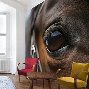 Apalis Kinderbehang vliesbehang Horse Eye fotobehang vierkant | vliesbehang wandbehang wandschilderij foto 3D fotobehang voor slaapkamer woonkamer keuken | Maat: 288x288 cm, meerkleurig, 97746