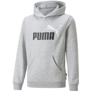 PUMA Sweatshirt merk ESS + 2 Col Big Logo Hoodie FL B