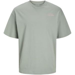 JACK & JONES Jjeames Tee SS Crew Neck, Iceberg Green, XS Heren, Iceberg Green, XS