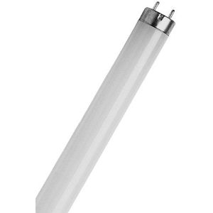 Osram fluorescentielamp L 36 Watt / 965 (72 Biolux)